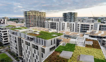 Ocieplanie dachu zielonego – bezpieczne i trwałe 